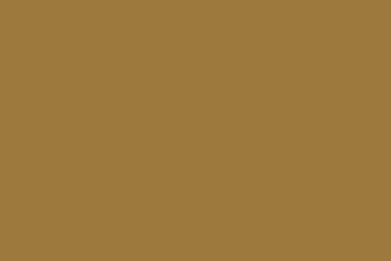 Bilde av Saba 120 5000m gulbrun 1207