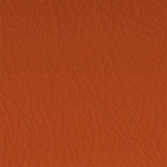 Bilde av Valencia 6019 orange (S)