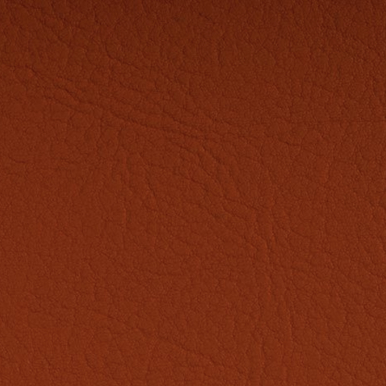 Bilde av Valencia 6003 Nectarine (S)