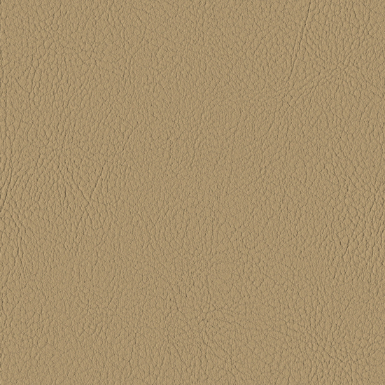 Bilde av Valencia 1001 champagne (S)