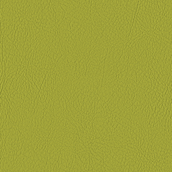 Bilde av Valencia 2110 avocado (S)