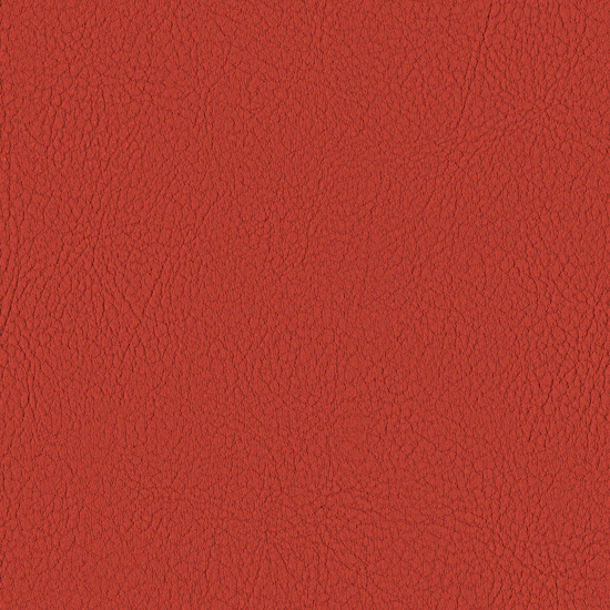 Bilde av Valencia 2112 Tomato