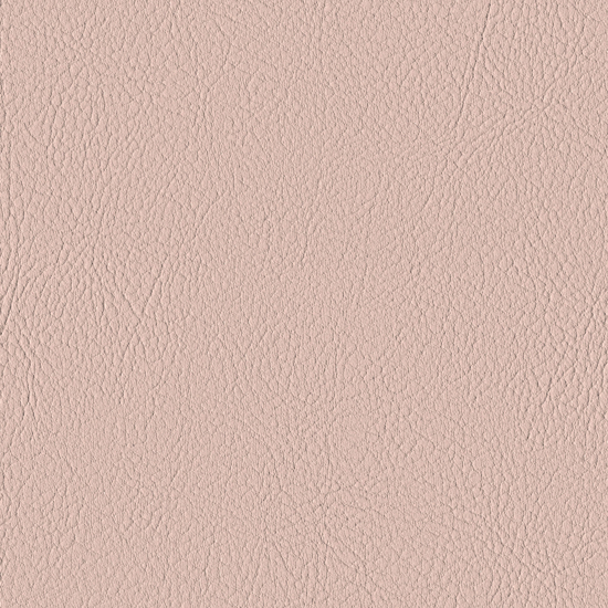 Bilde av Valencia 2113 lotus (S)