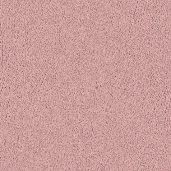 Bilde av Valencia 2114 rose (S)