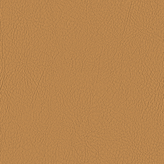 Bilde av Valencia 2116 Camel(S)