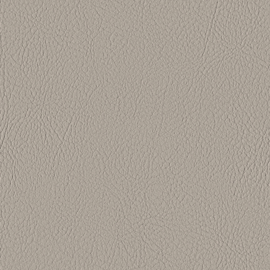 Bilde av Valencia 2522 fungi (S)