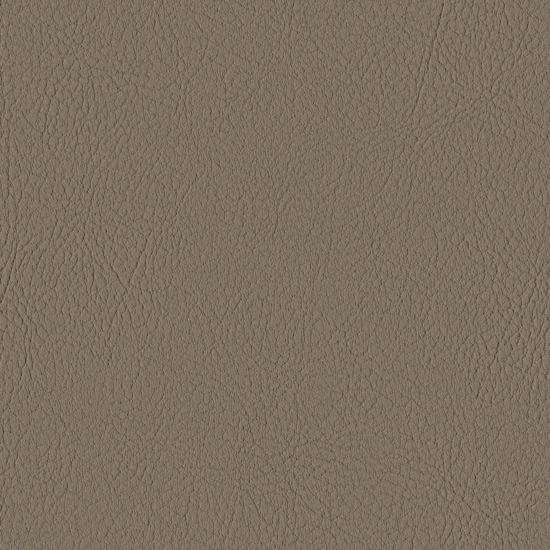 Bilde av Valencia 4001 mushroom  (S)