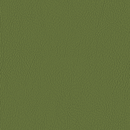 Bilde av Valencia 5001 olive (S)