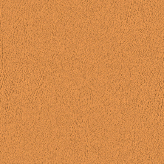 Bilde av Valencia 6013 melone (S)