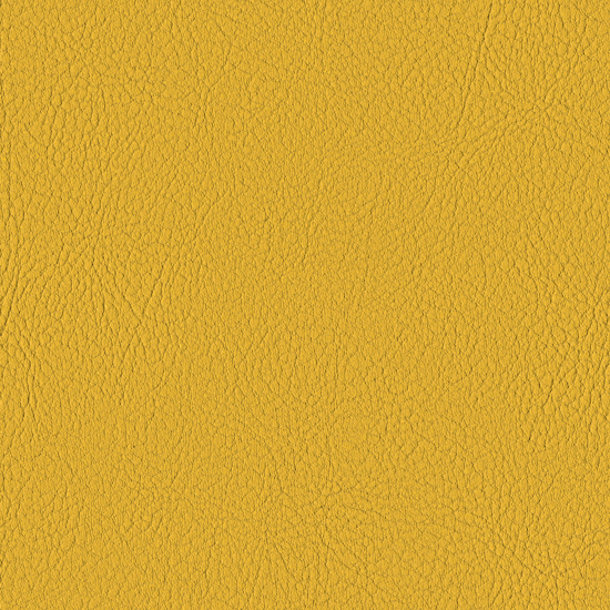 Bilde av Valencia 2011 Squash (S)