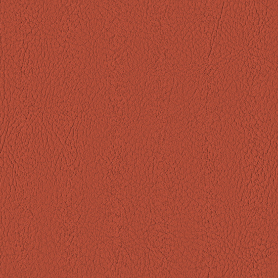 Bilde av Valencia 6003 Nectarine (S)